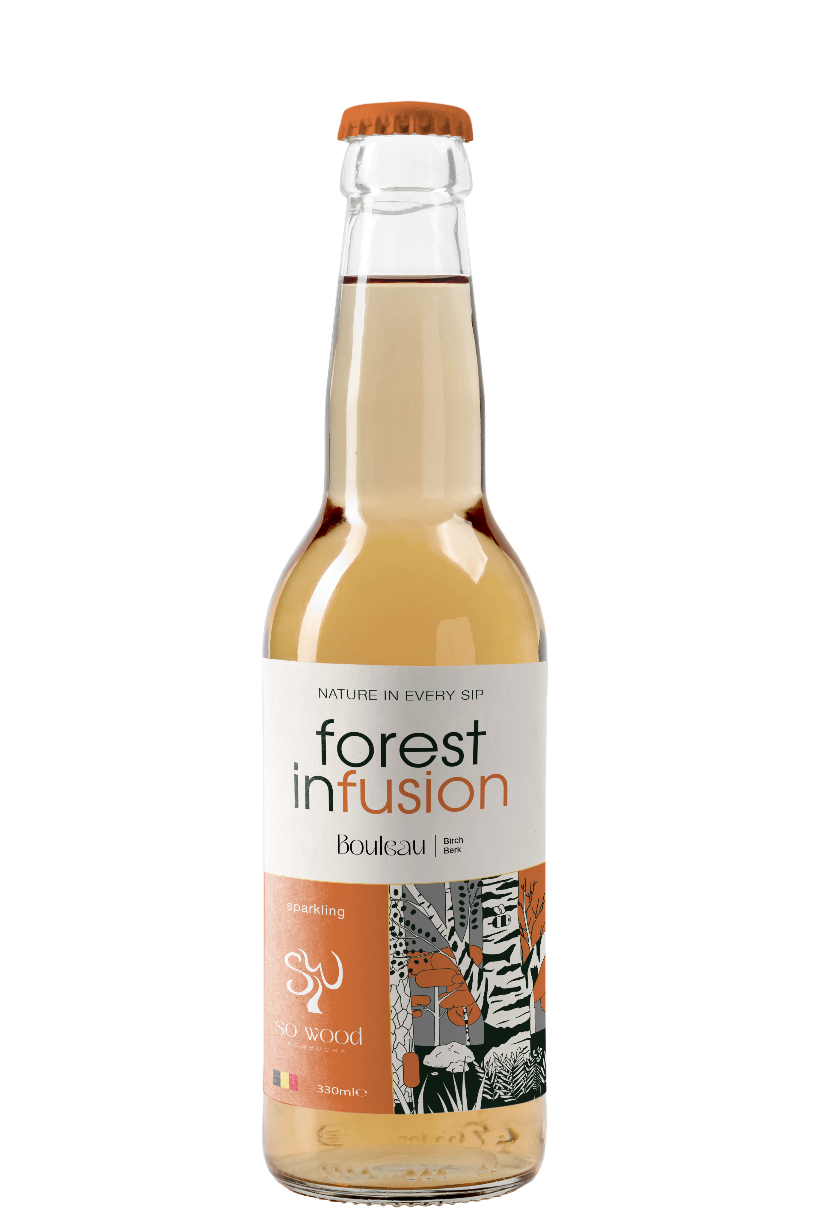 Kombucha Forest Infusion saveur bouleau