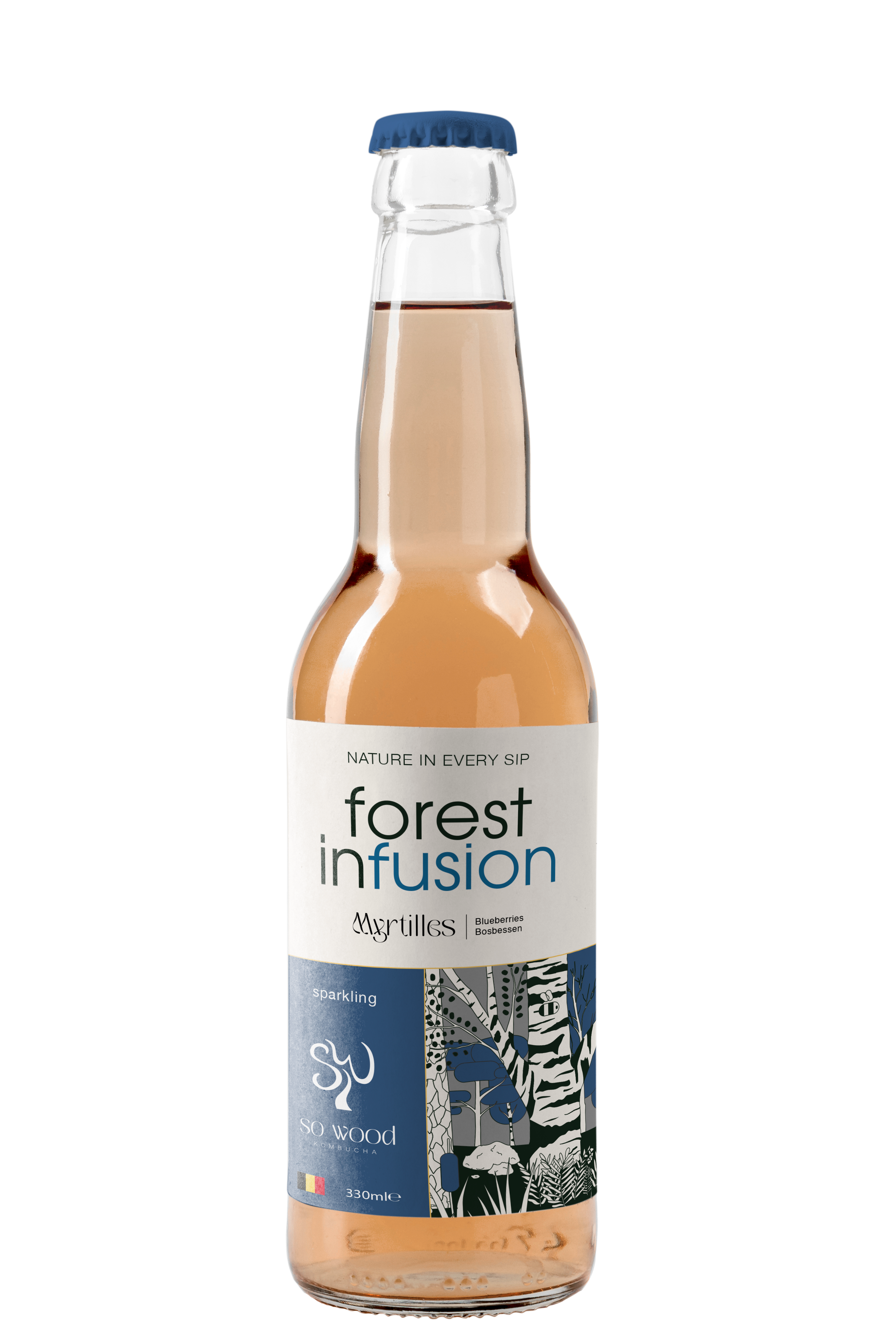 Forest Infusion kombucha saveur myrtilles